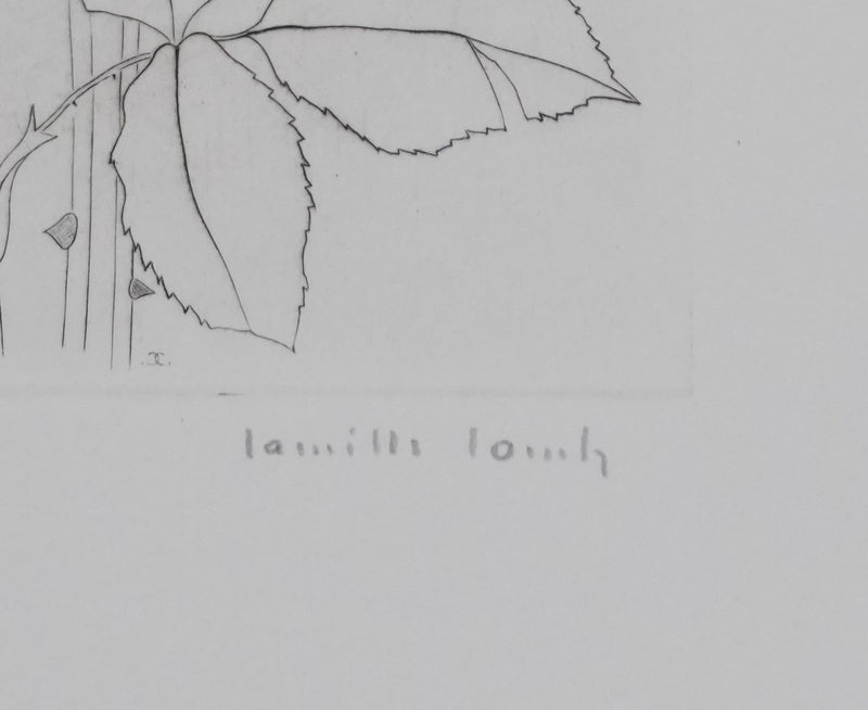 Camille COMBE : Éternelles roses, Gravure originale signée