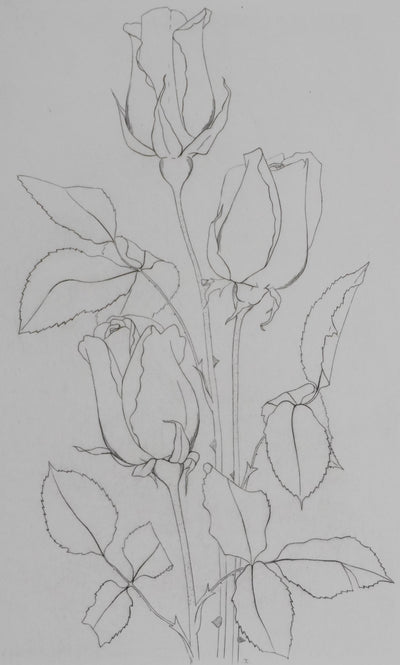 Camille COMBE : Éternelles roses, Gravure originale signée