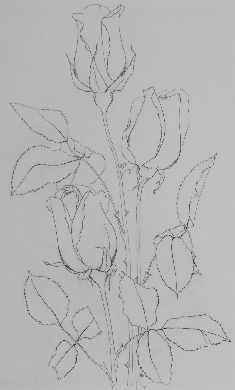 Camille COMBE : Éternelles roses, Gravure originale signée