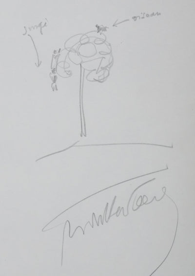 Henry DE MONTHERLANT : L'oiseau dans l'arbre, Autographe et dessin original signée