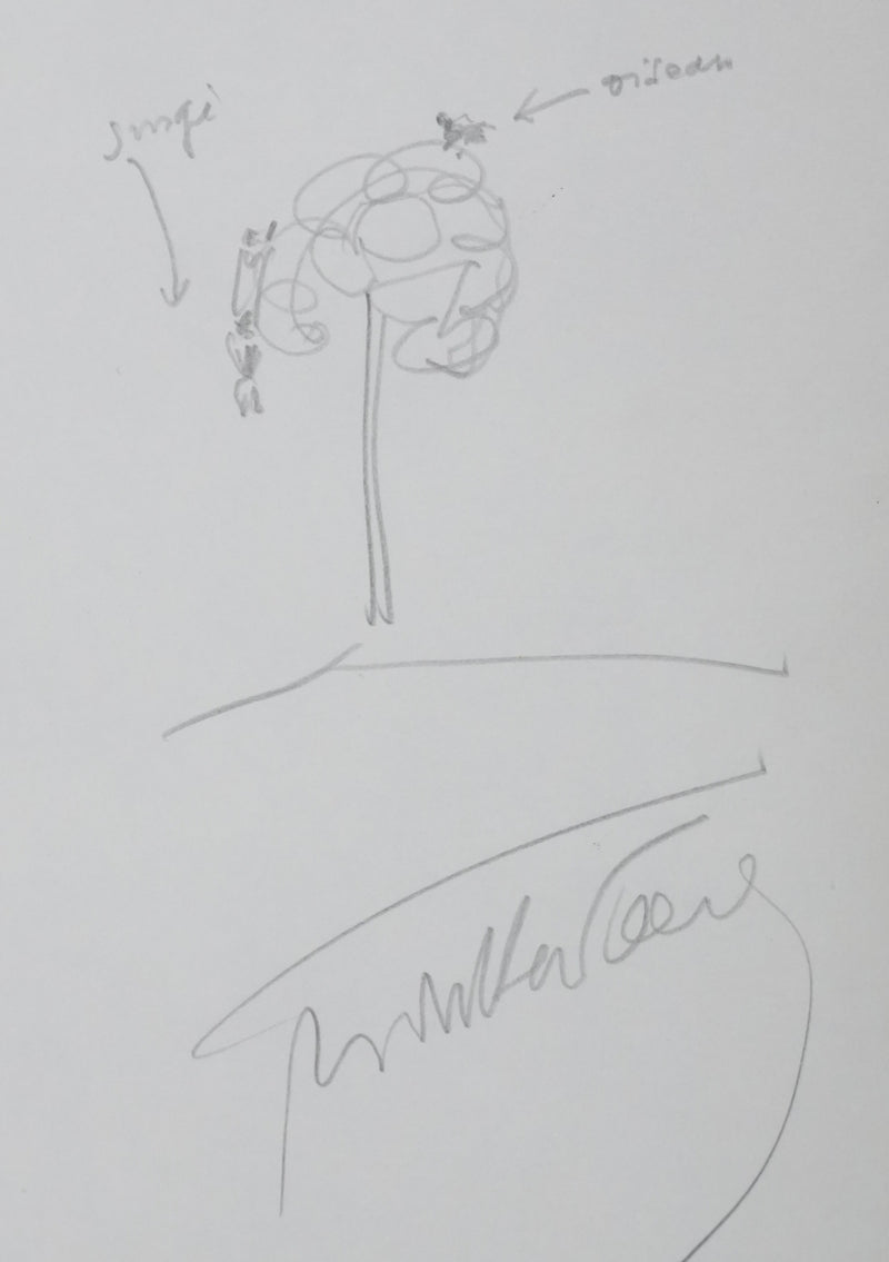 Henry DE MONTHERLANT : L&