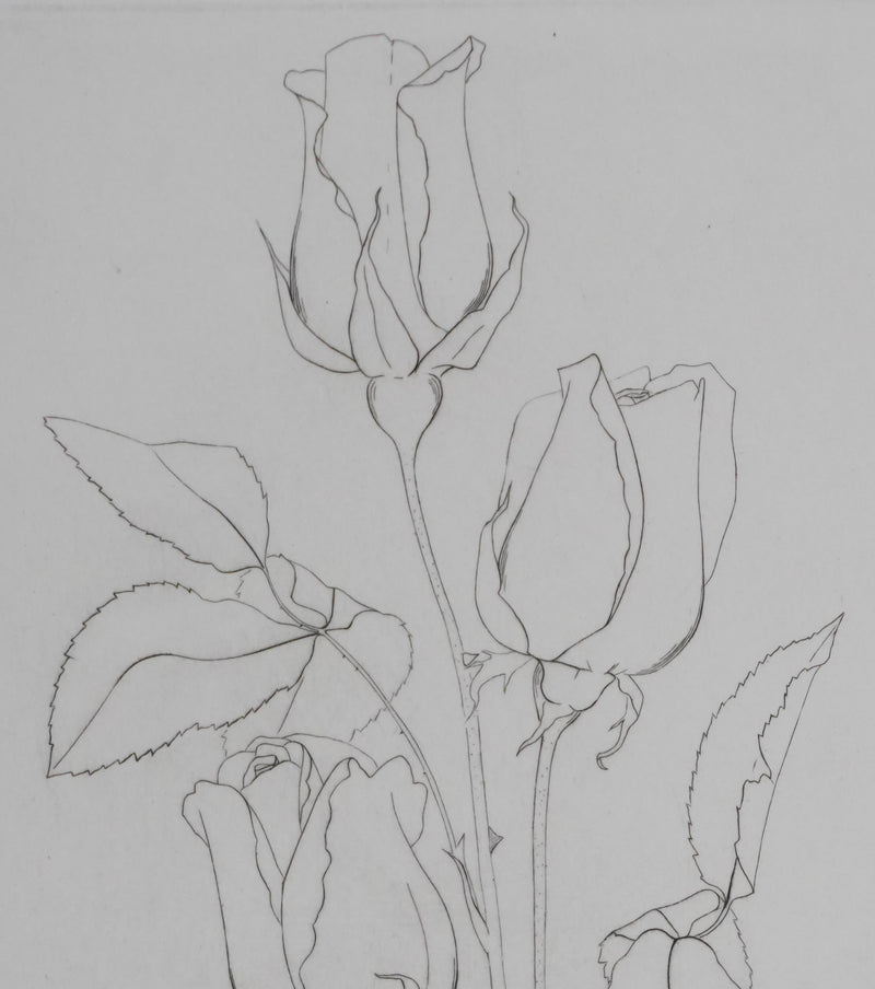 Camille COMBE : Éternelles roses, Gravure originale signée