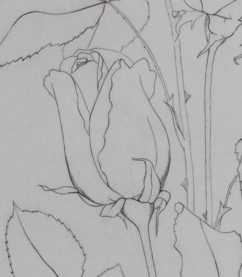 Camille COMBE : Éternelles roses, Gravure originale signée