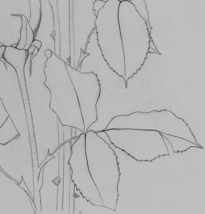 Camille COMBE : Éternelles roses, Gravure originale signée