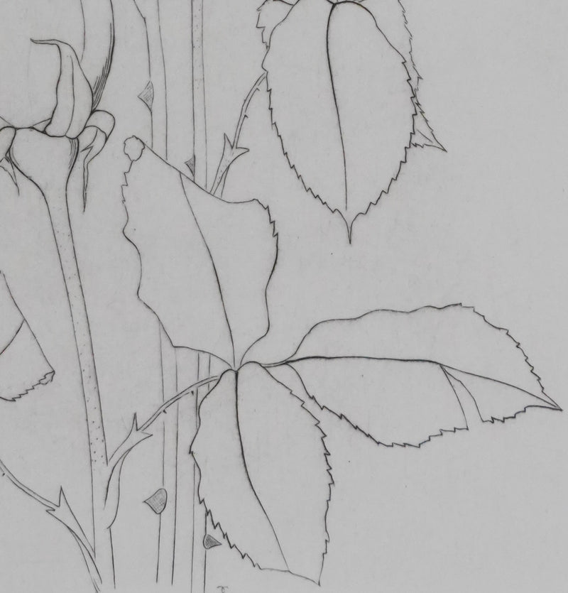 Camille COMBE : Éternelles roses, Gravure originale signée
