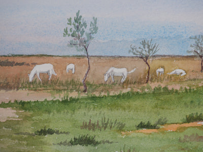 Salomon Alfred BOISECQ : Troupeau en Camargue, Aquarelle originale signée
