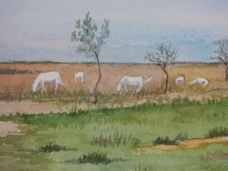 Salomon Alfred BOISECQ : Troupeau en Camargue, Aquarelle originale signée