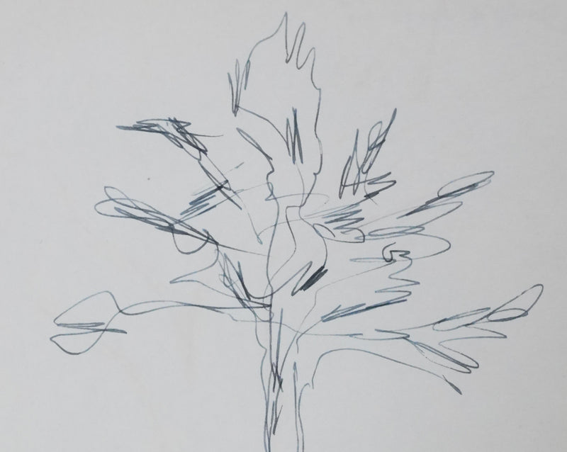 Denis DE ROUGEMONT : L&