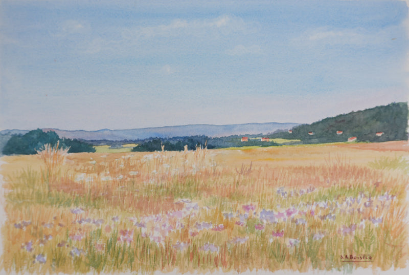 Salomon Alfred BOISECQ : Champs fleuris de Fayence, Aquarelle originale signée