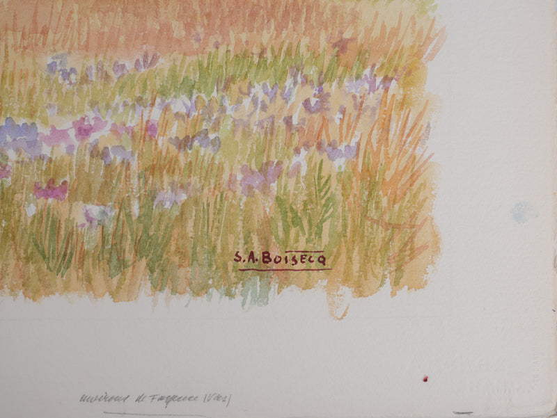 Salomon Alfred BOISECQ : Champs fleuris de Fayence, Aquarelle originale signée