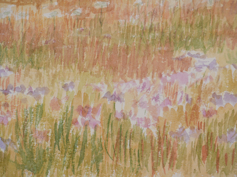 Salomon Alfred BOISECQ : Champs fleuris de Fayence, Aquarelle originale signée