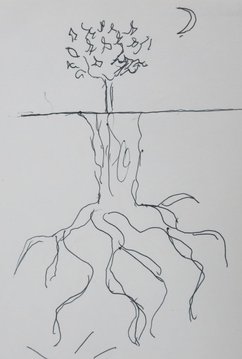 Emmanuel PEREIRE : Le soleil sous l&