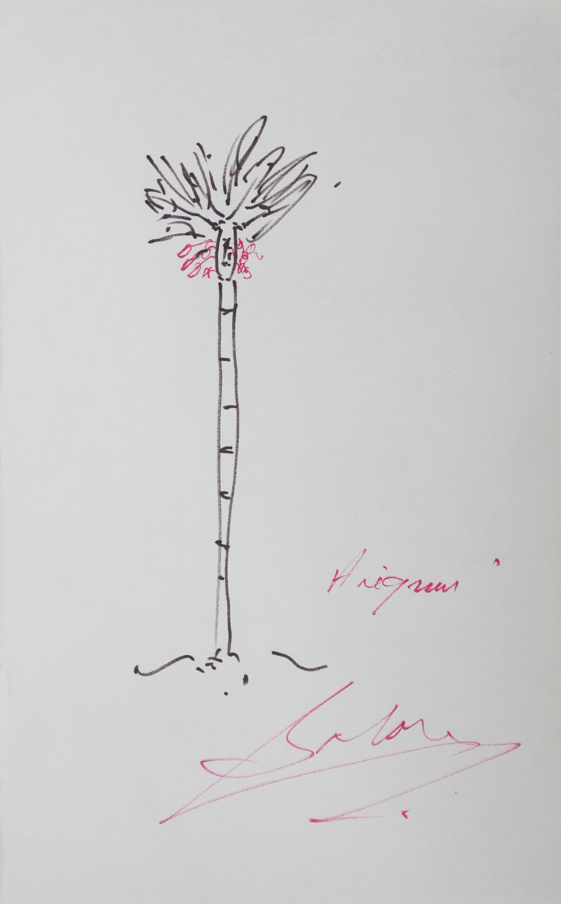 Raoul SALAN : Les fruits rouges de l&