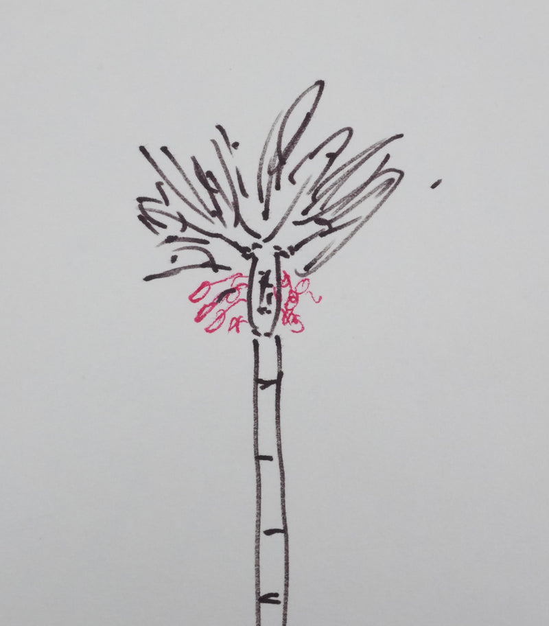 Raoul SALAN : Les fruits rouges de l&