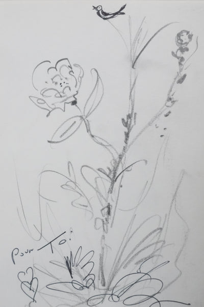 SERGE : La fleur des champs, Dessin original signé