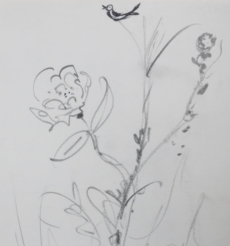 SERGE : La fleur des champs, Dessin original signé