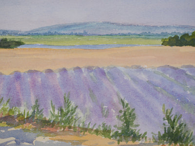 Salomon Alfred BOISECQ : Le champs de lavande, Aquarelle originale signée