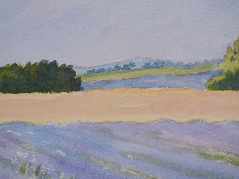 Salomon Alfred BOISECQ : Le champs de lavande, Aquarelle originale signée
