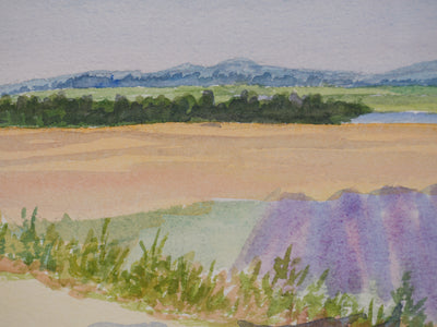 Salomon Alfred BOISECQ : Le champs de lavande, Aquarelle originale signée
