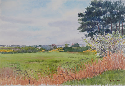 Salomon Alfred BOISECQ : Champs en Bretagne, Aquarelle originale signée