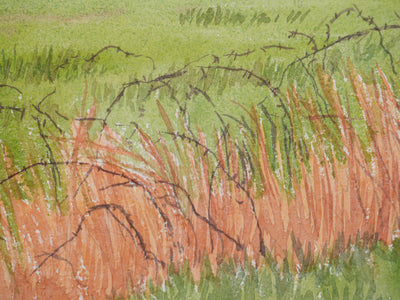 Salomon Alfred BOISECQ : Champs en Bretagne, Aquarelle originale signée
