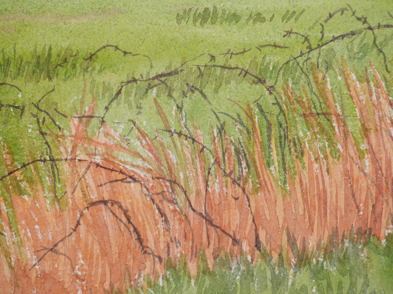Salomon Alfred BOISECQ : Champs en Bretagne, Aquarelle originale signée