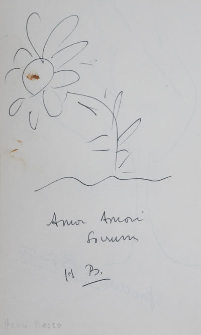 Henri BOSCO : La fleur d'amour, Autographe et dessin original signé
