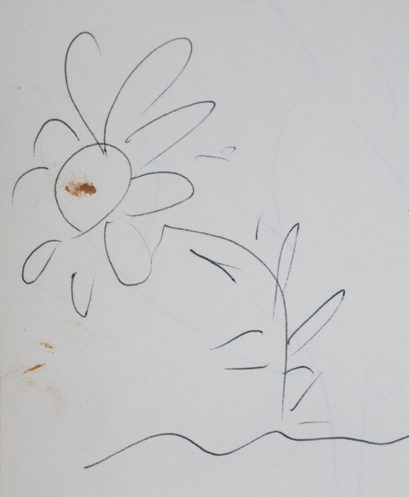 Henri BOSCO : La fleur d&