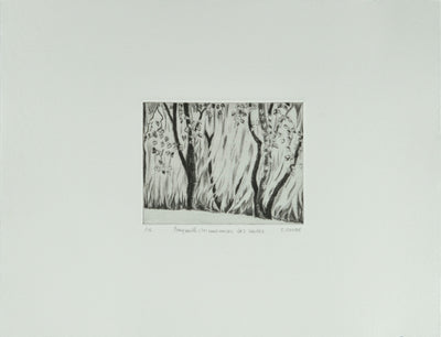 Camille COMBE : Beyrouth, les murmures des Saules, Gravure originale signée