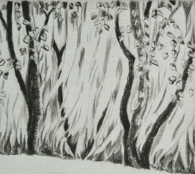 Camille COMBE : Beyrouth, les murmures des Saules, Gravure originale signée