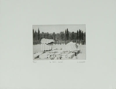 Camille COMBE : Le bois sacré, Gravure originale signée