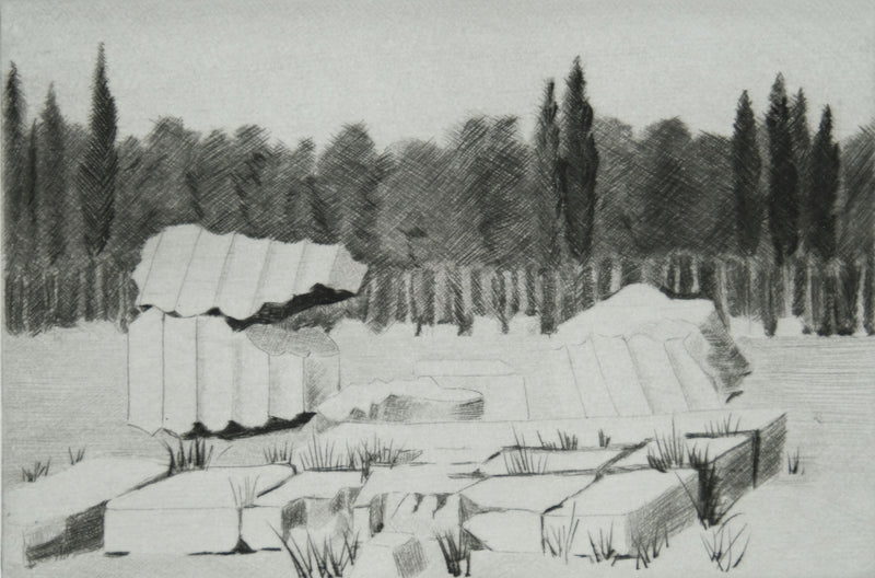 Camille COMBE : Le bois sacré, Gravure originale signée