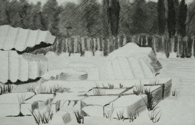 Camille COMBE : Le bois sacré, Gravure originale signée