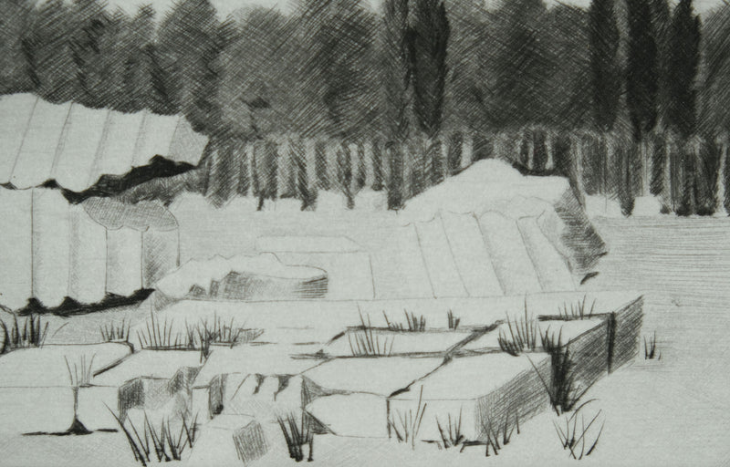 Camille COMBE : Le bois sacré, Gravure originale signée