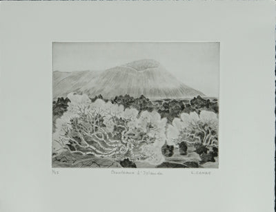 Camille COMBE : Bouleaux d'Islande, Gravure originale signée