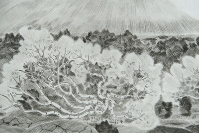 Camille COMBE : Bouleaux d'Islande, Gravure originale signée
