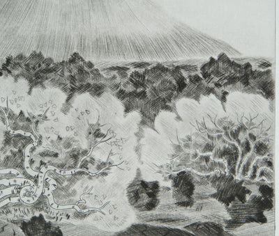 Camille COMBE : Bouleaux d'Islande, Gravure originale signée