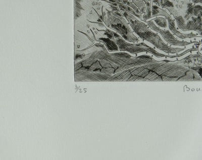 Camille COMBE : Bouleaux d'Islande, Gravure originale signée