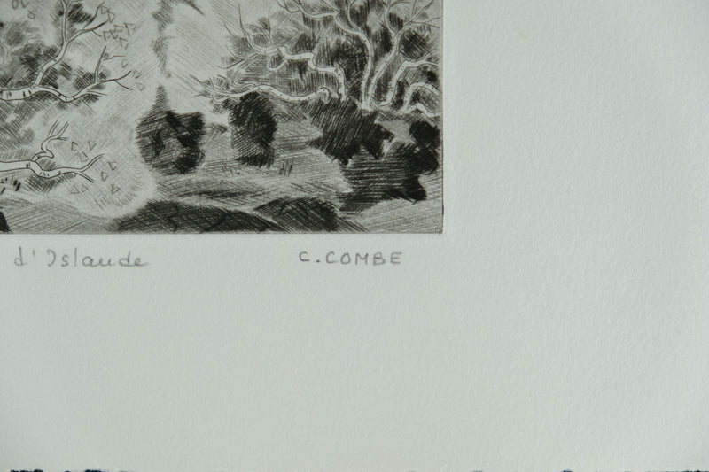 Camille COMBE : Bouleaux d&