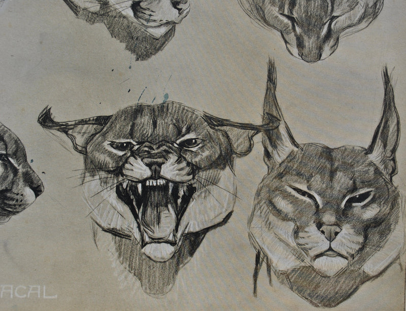 Mathurin MEHEUT : Le Caracal, Lithographie originale (photo de détail 5) - Crédit photo : Galerie Art.Paris