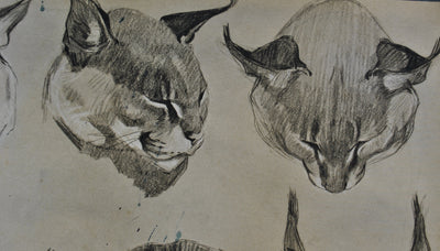 Mathurin MEHEUT : Le Caracal, Lithographie originale (photo de détail 4) - Crédit photo : Galerie Art.Paris