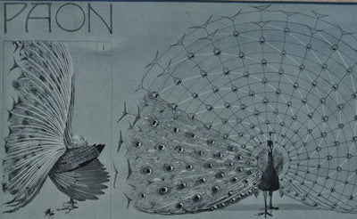 Mathurin MEHEUT : Le Paon en parade, Lithographie originale (photo de détail 8) - Crédit photo : Galerie Art.Paris