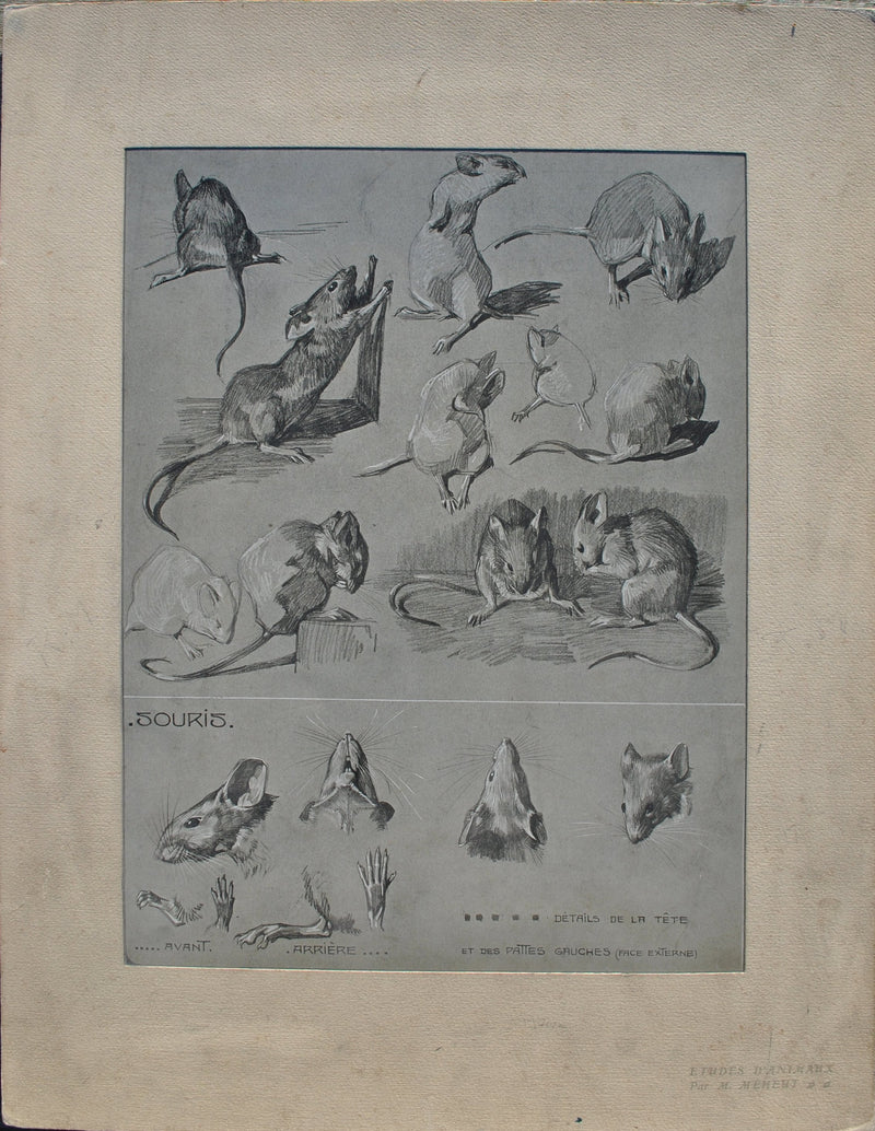 Mathurin MEHEUT : La Souris, Lithographie originale (vue générale) - Crédit photo : Galerie Art.Paris