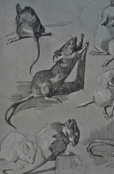 Mathurin MEHEUT : La Souris, Lithographie originale (photo de détail 6) - Crédit photo : Galerie Art.Paris