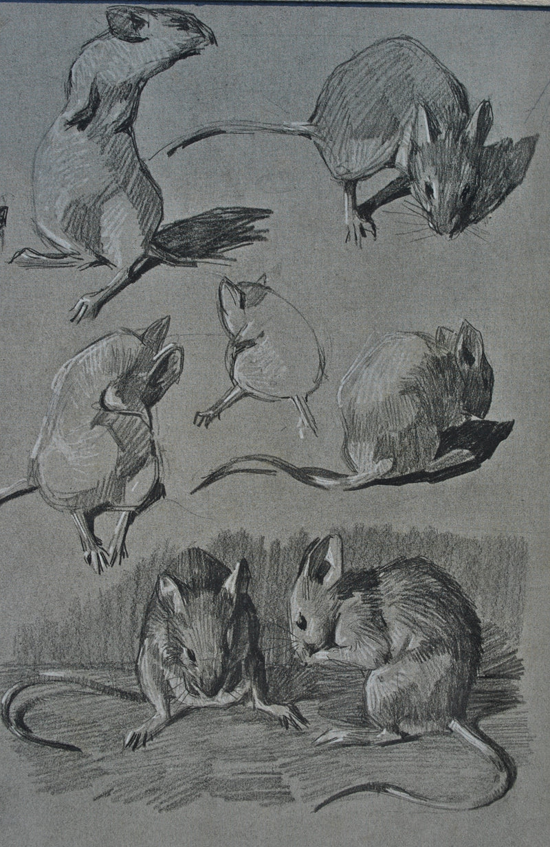 Mathurin MEHEUT : La Souris, Lithographie originale (photo de détail 7) - Crédit photo : Galerie Art.Paris