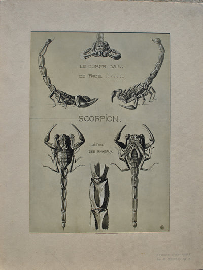 Mathurin MEHEUT : Le Scorpion, Lithographie originale (vue générale) - Crédit photo : Galerie Art.Paris