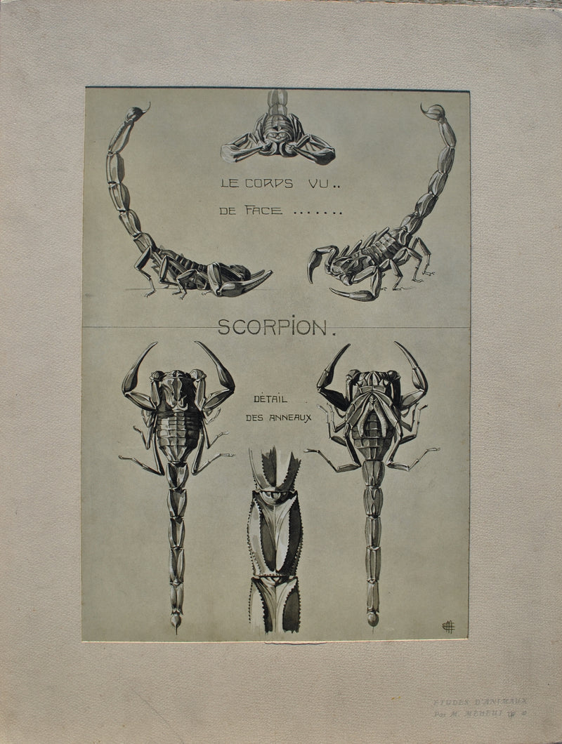 Mathurin MEHEUT : Le Scorpion, Lithographie originale (vue générale) - Crédit photo : Galerie Art.Paris