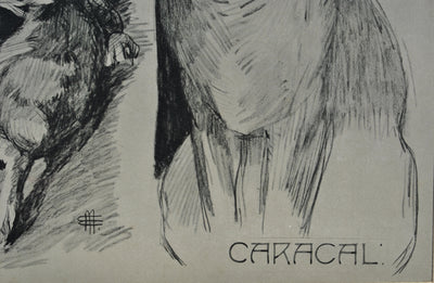 Mathurin MEHEUT : Le Caracal et sa proie, Lithographie originale (photo de détail 4) - Crédit photo : Galerie Art.Paris