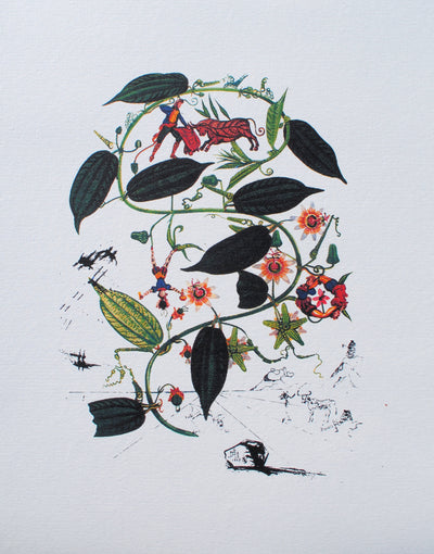 Pour Absolut7 - Salvador DALI : Flordali I + 5 Flordali