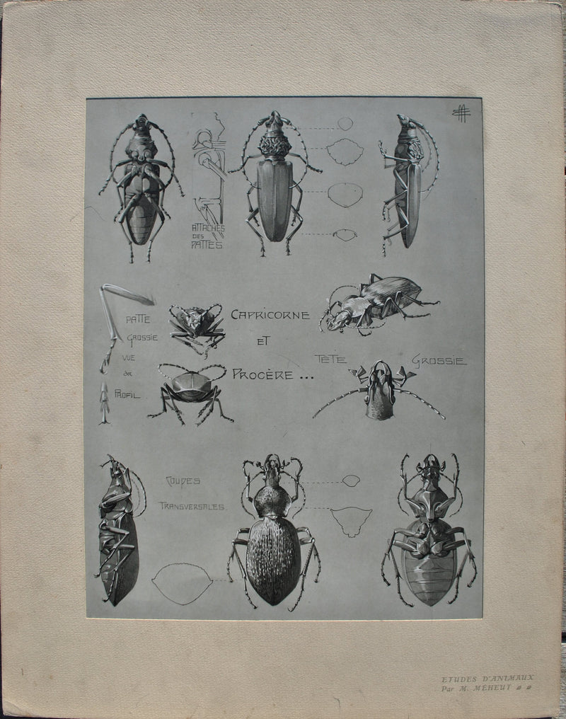 Mathurin MEHEUT : Le Capricorne, Lithographie originale (vue générale) - Crédit photo : Galerie Art.Paris